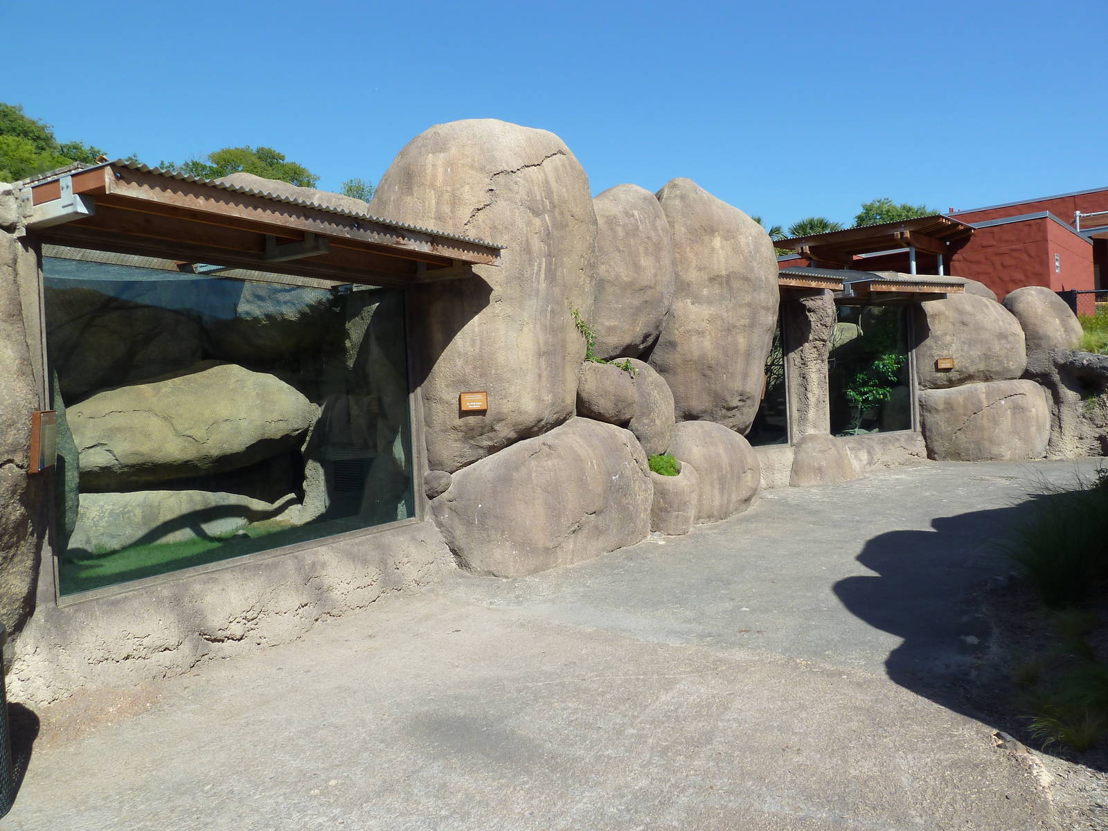 Africa Live - Dwarf Mongoose + Bird Exhibits