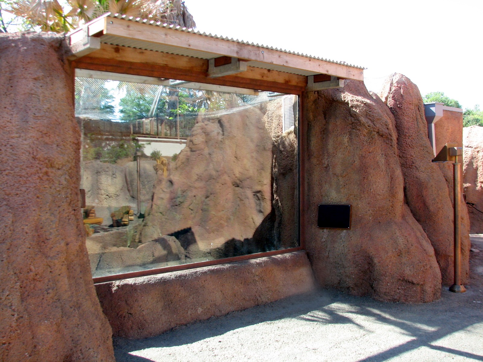 Africa Live - Empty Future Dwarf Mongoose or Meerkat Exhibit