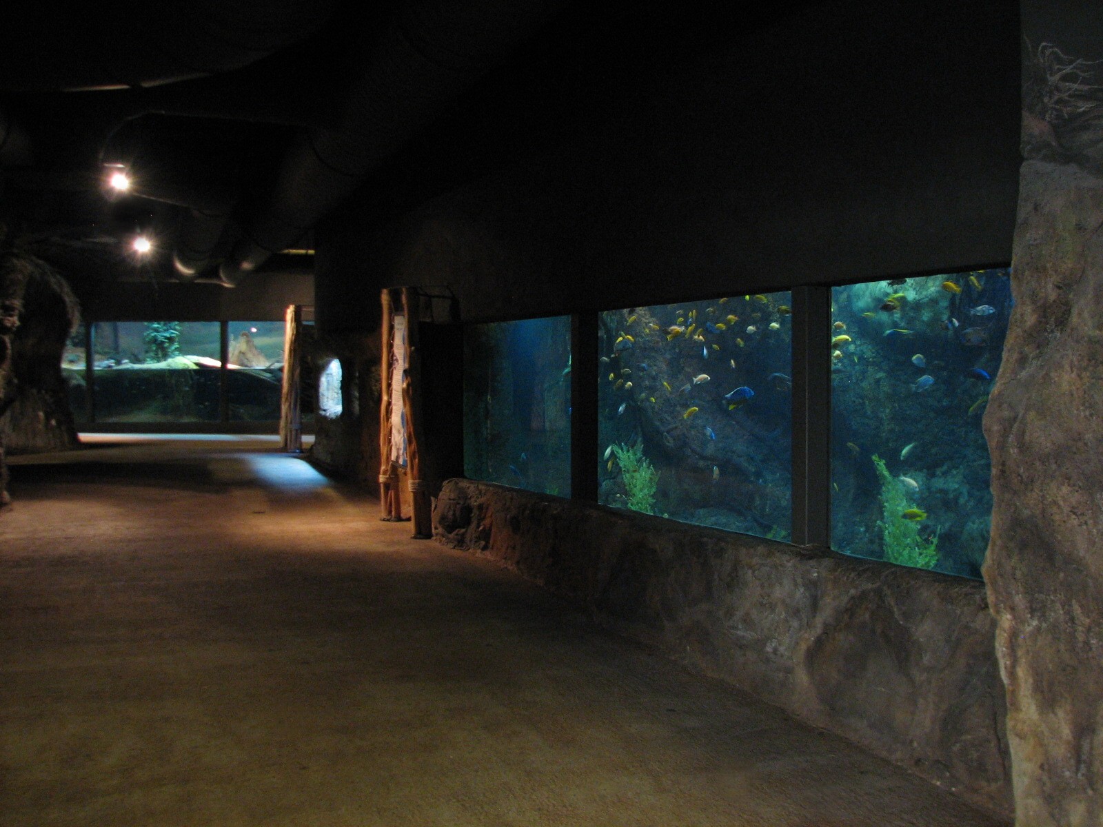 Africa Live - Interior Exhibit Area