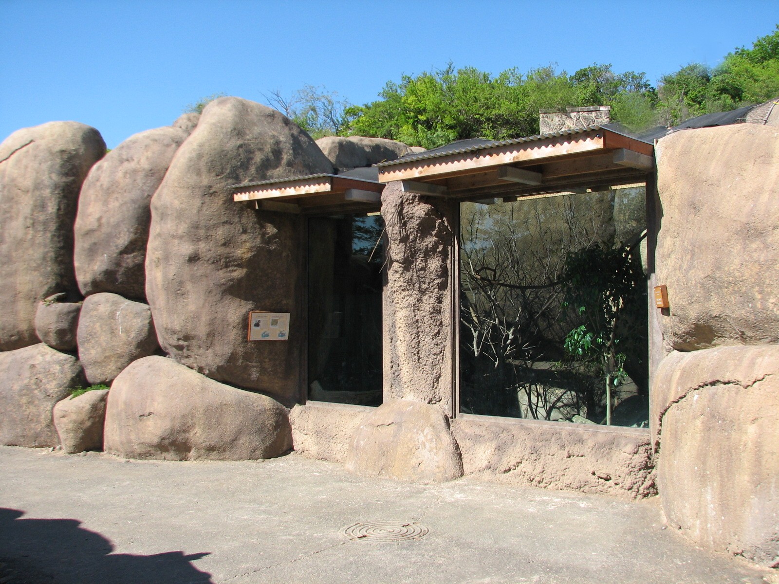 Africa Live - Lady Ross Turaco and White-bellied Bustard Exhibit