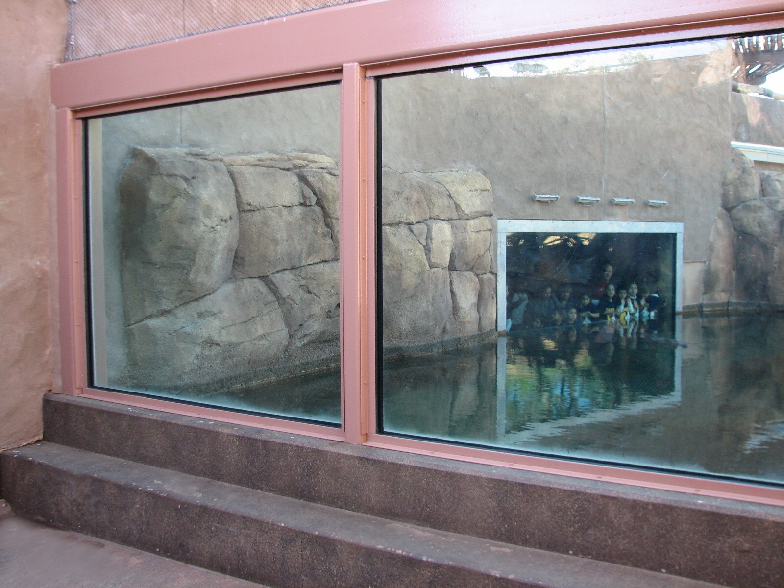Africa Live - Nile Crocodile Exhibit Exterior Viewing Area