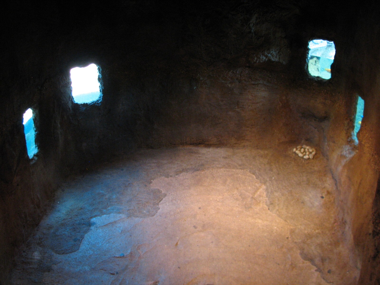 Africa Live - Nile Crocodile Viewing Cave