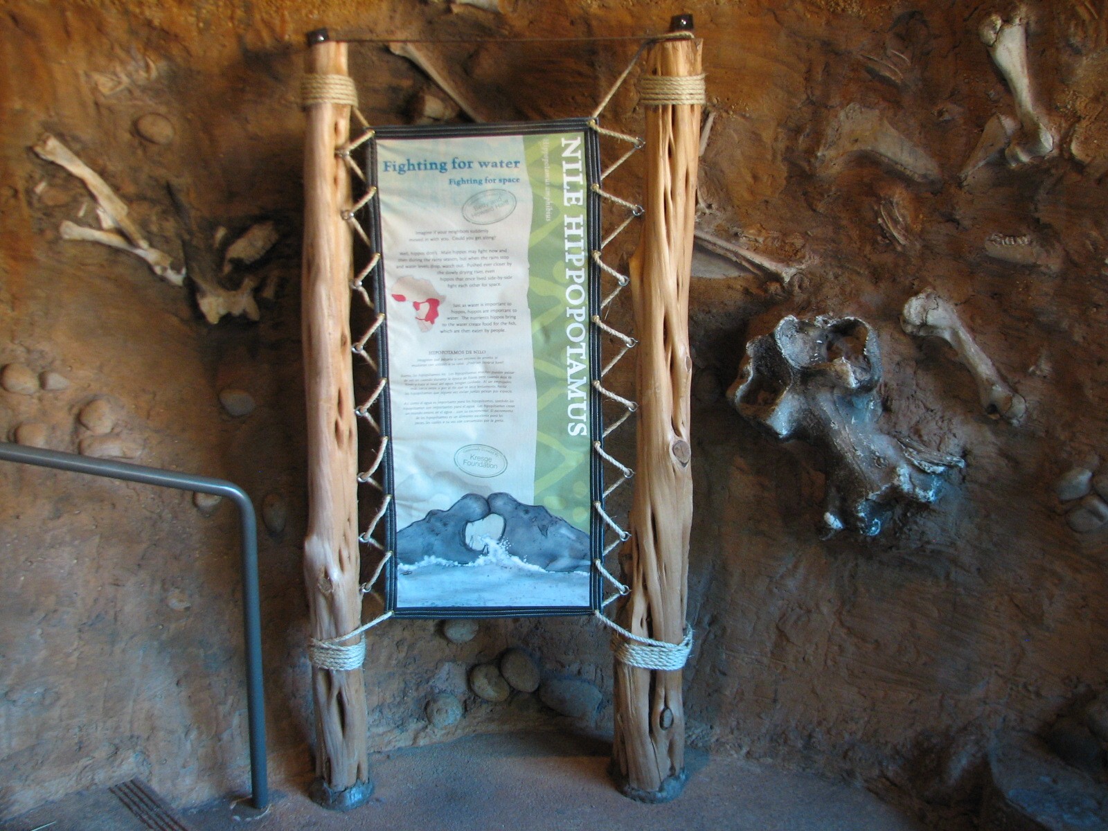 Africa Live - Nile Hippopotamus Exhibit Sign