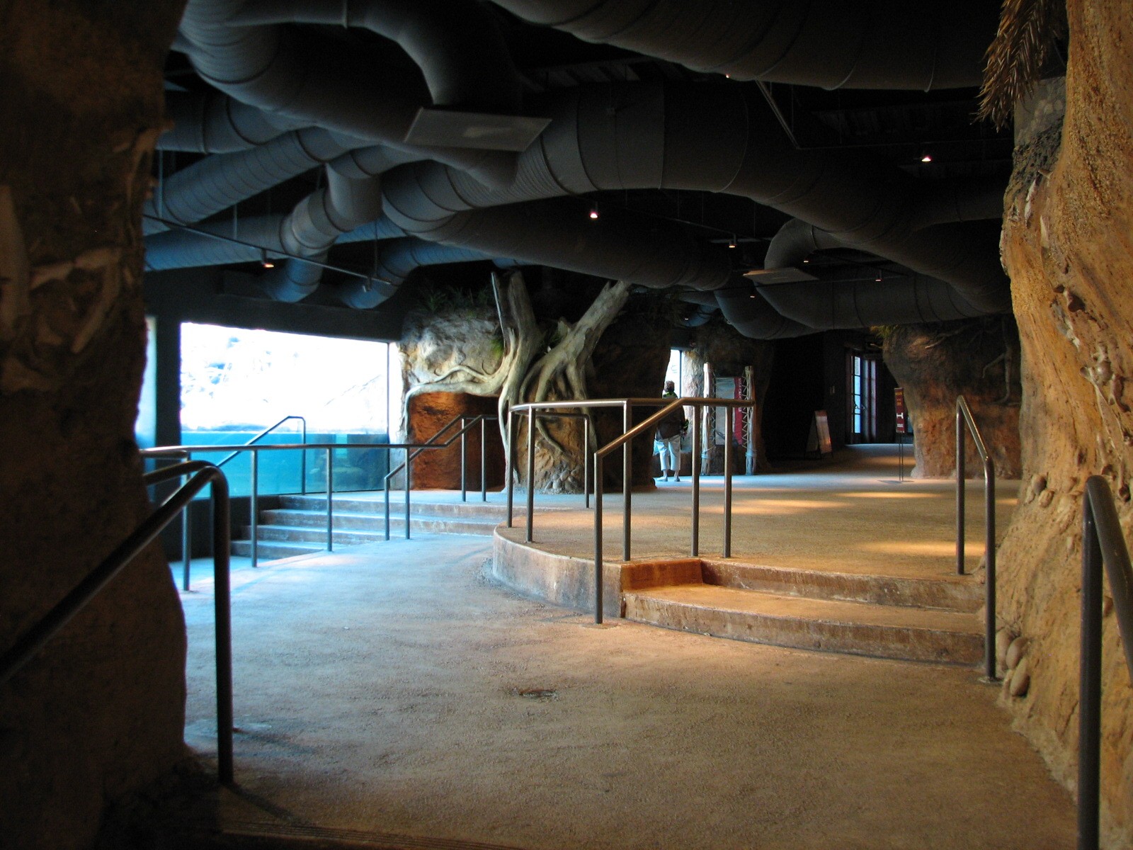 Africa Live - Nile Hippopotamus Exhibit Viewing Area