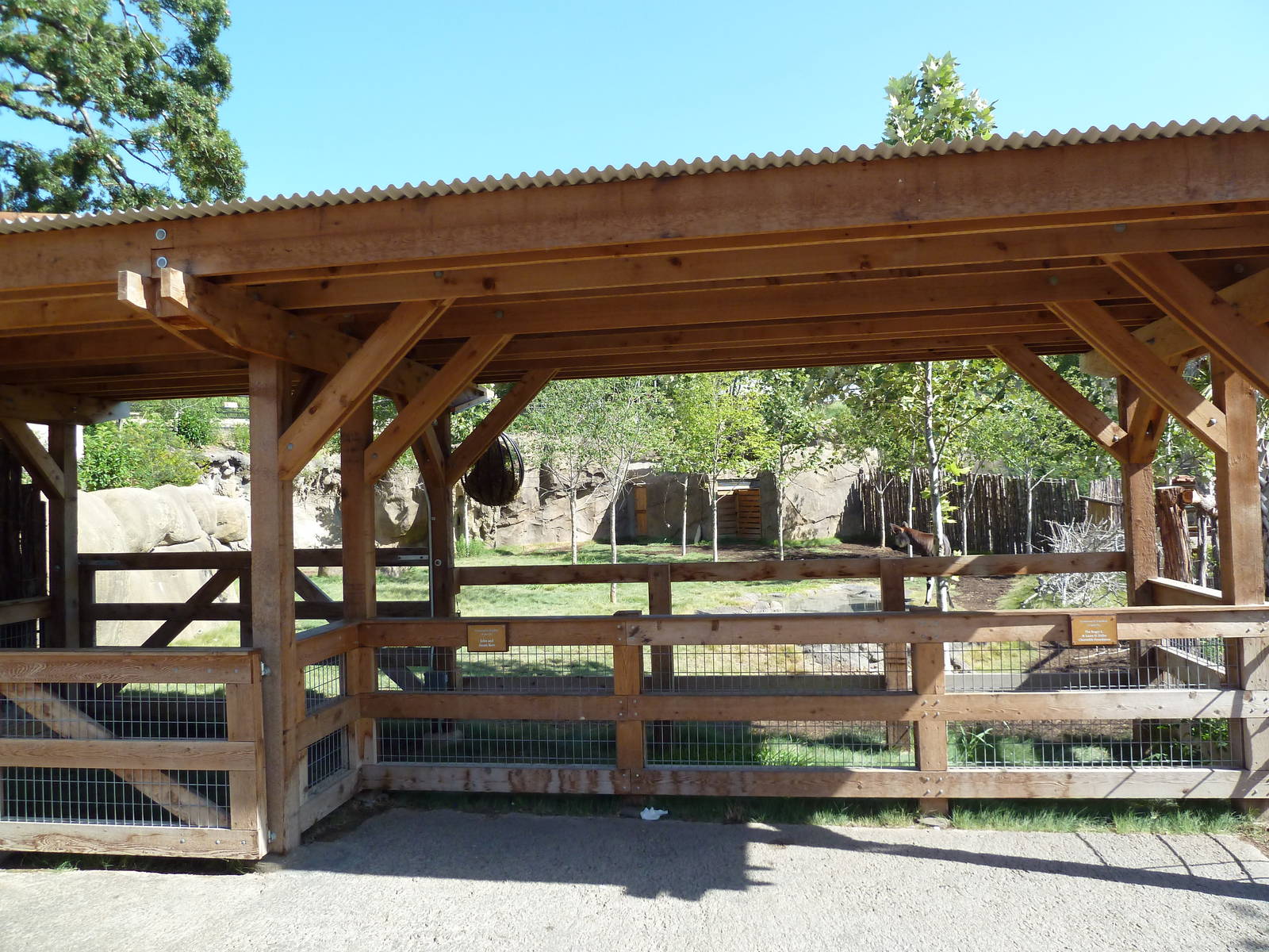 Africa Live - Okapi Exhibit