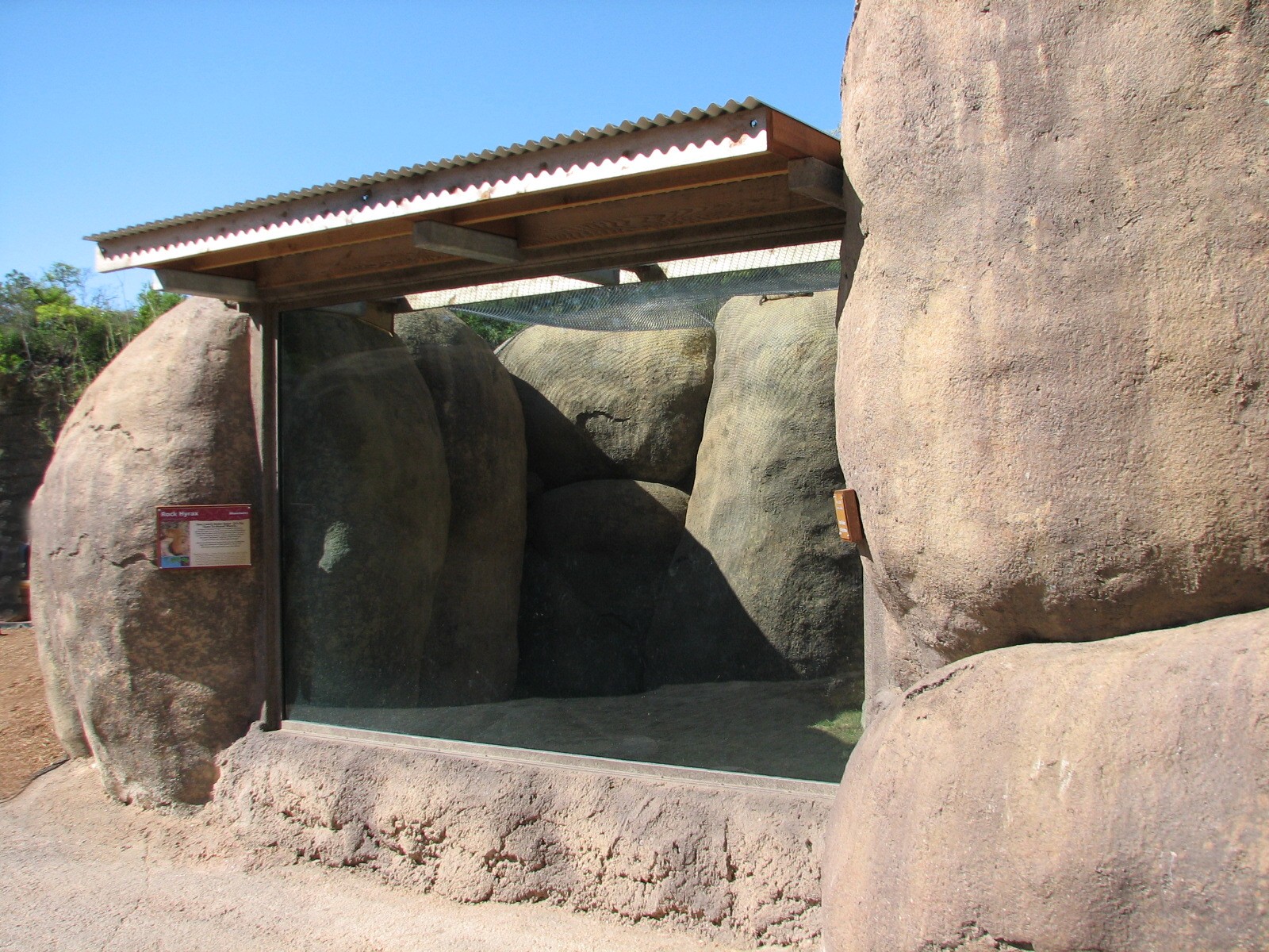 Africa Live - Rock Hyrax Exhibit