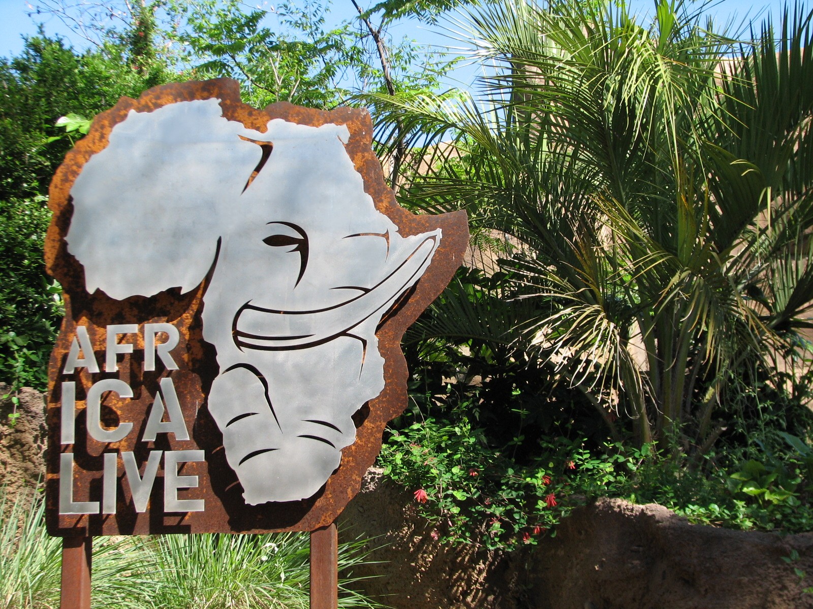 Africa Live - Sign