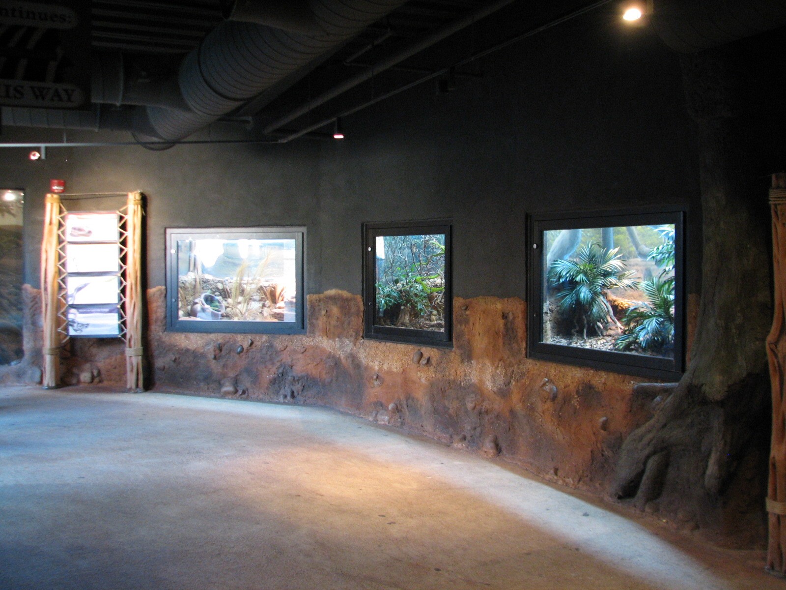 Africa Live - Small Reptile Wall Exhibits