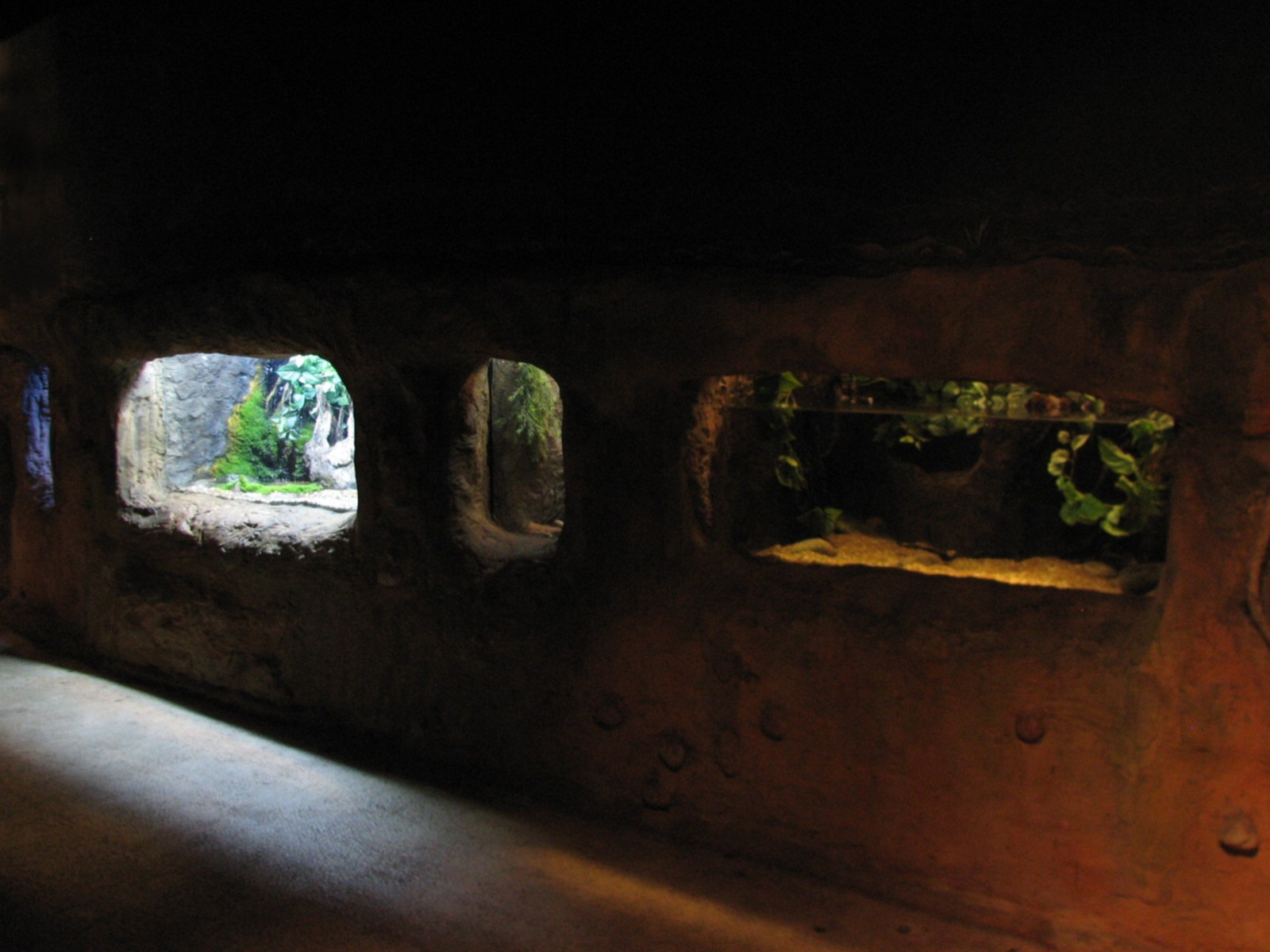 Africa Live - Small Wall Exhibits