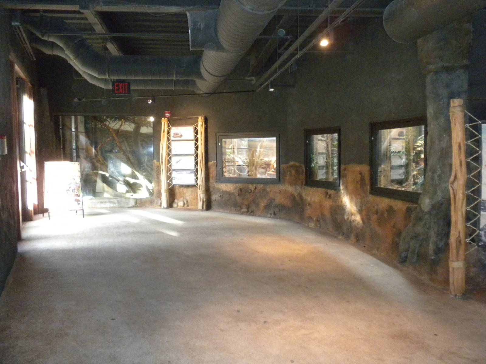 Africa Live snake and civet exhibits