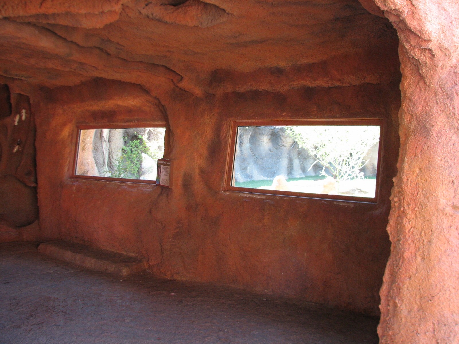 Africa Live - Termite Mound Interior Viewing Area for African Wild Dog Exhi