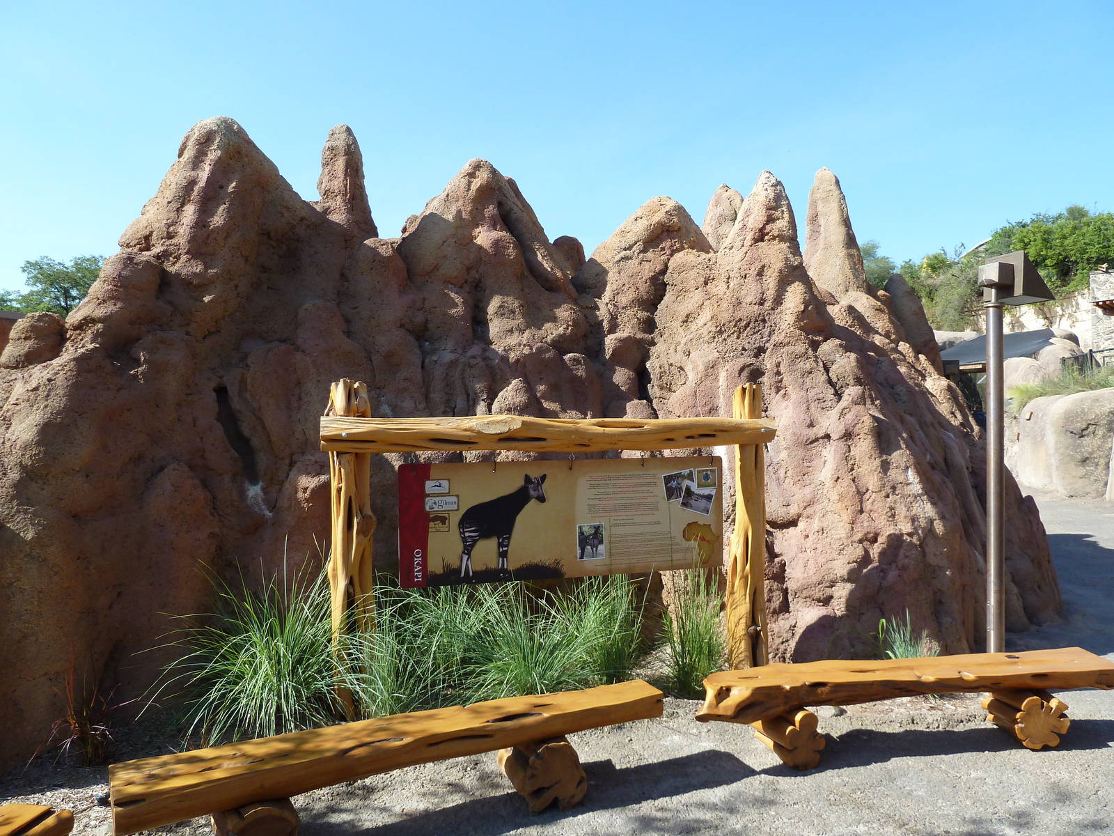 Africa Live - Termite Mound