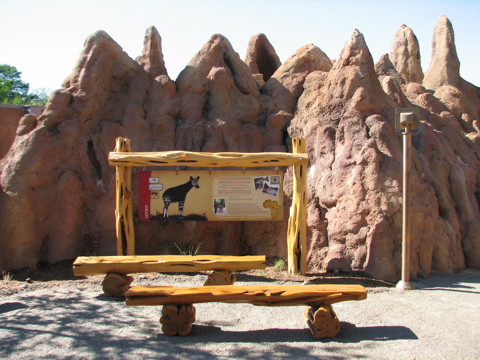 Africa Live - Termite Mound