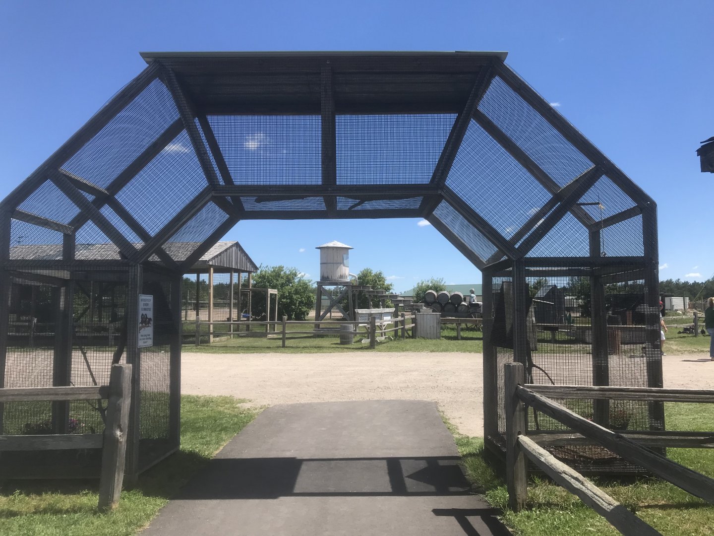 “Africa” - Lovebird Archway