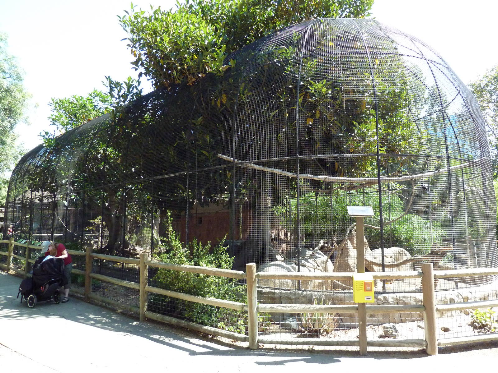 Africa/Madagascar Exhibit (6 Species)