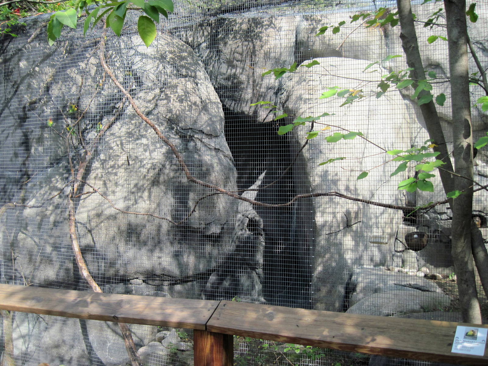 Africa-Maked Lovebird/Rock Hyrax Exhibit
