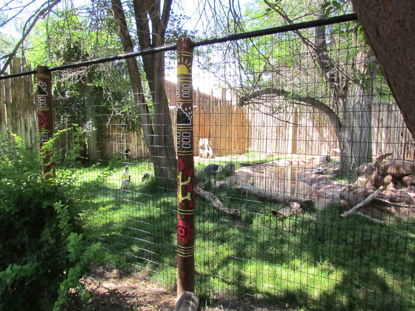 Africa - Malawi Marsh