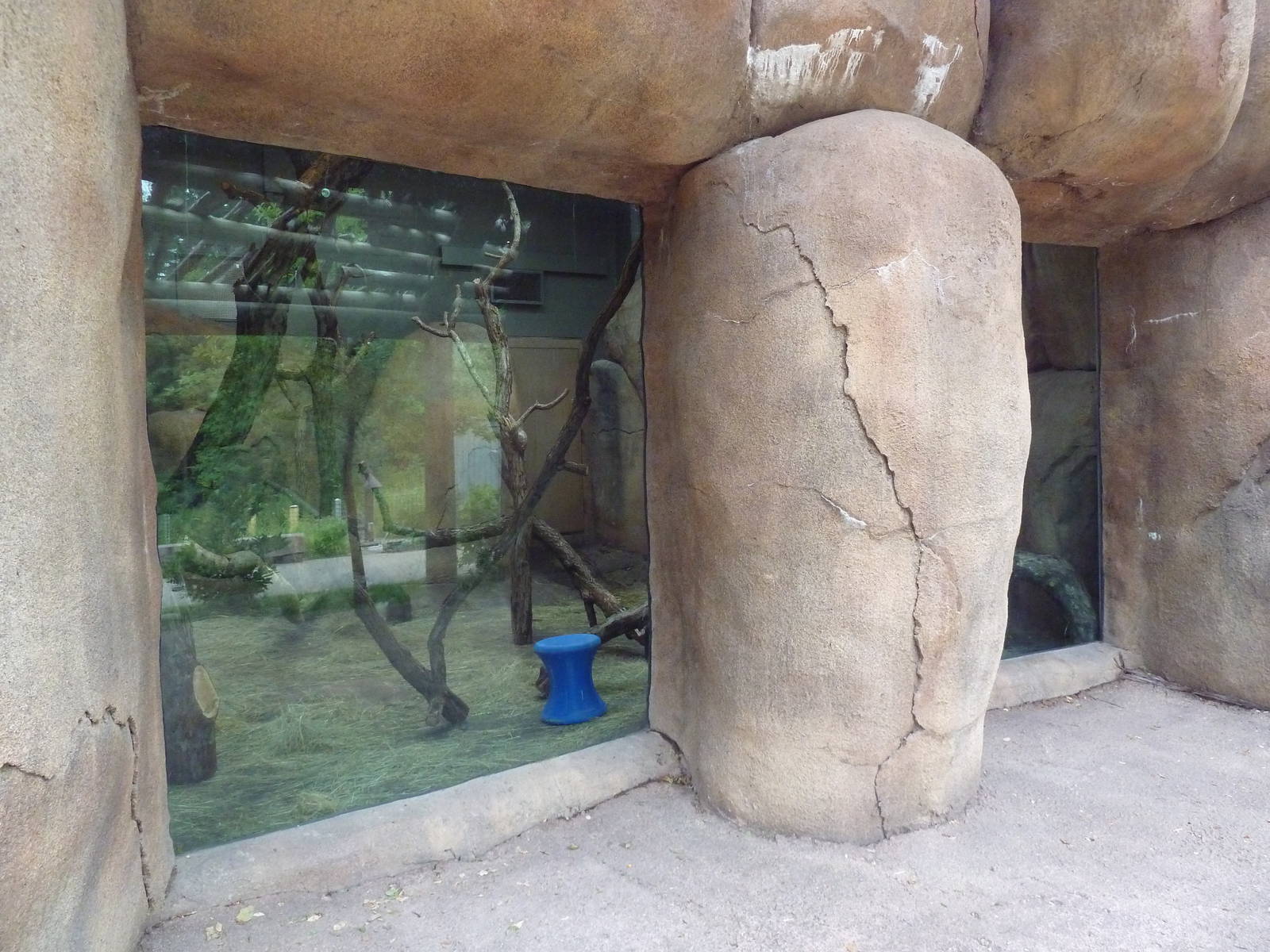 Africa! - Mandrill Exhibit (Indoor Viewing Area)