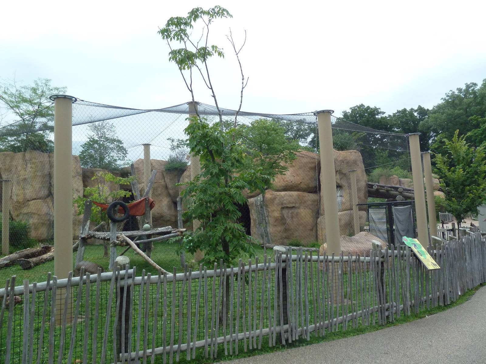 Africa! - Mandrill Exhibit