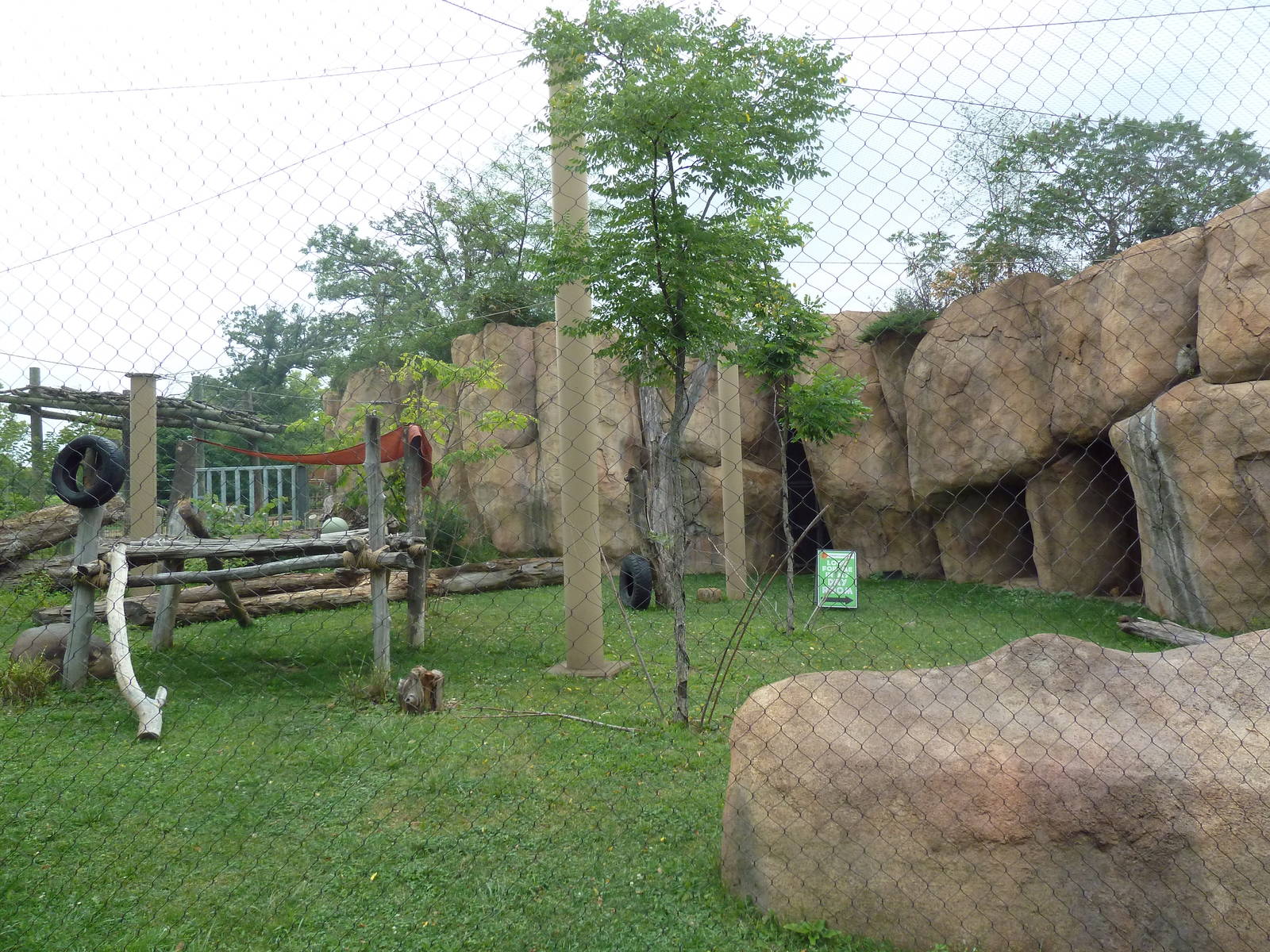 Africa! - Mandrill Exhibit