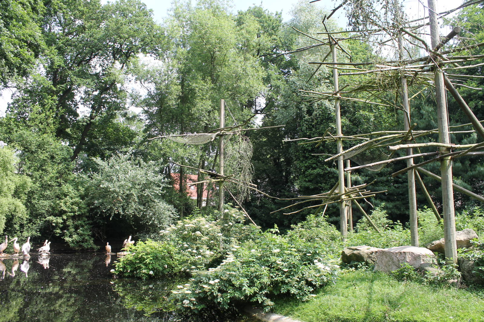 Africa - Mantled colobus island