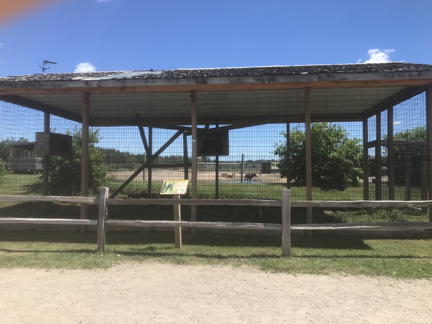 “Africa” - Mantled Guezera Exhibit