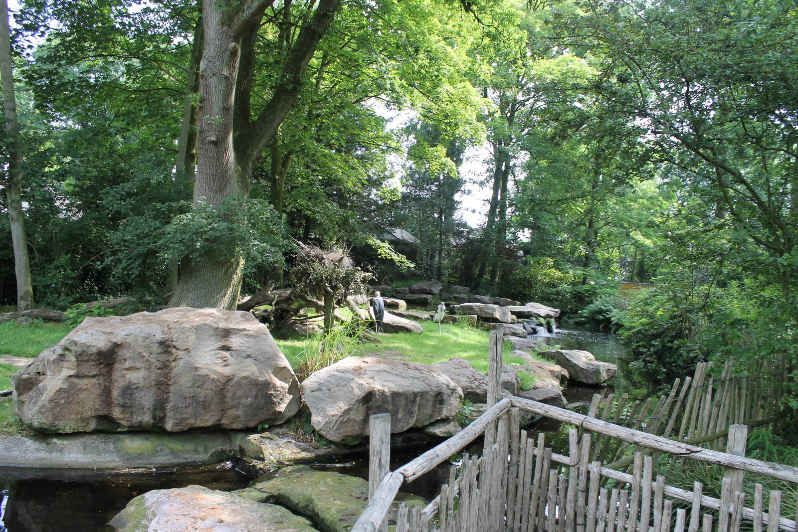 Africa - Marabou stork enclosure