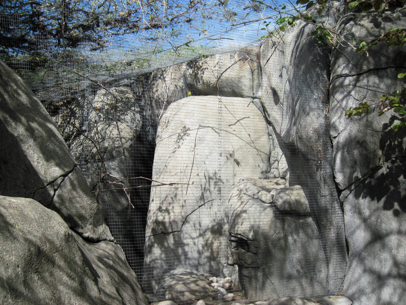 Africa-Masked Lovebird/Rock Hyrax Exhibit