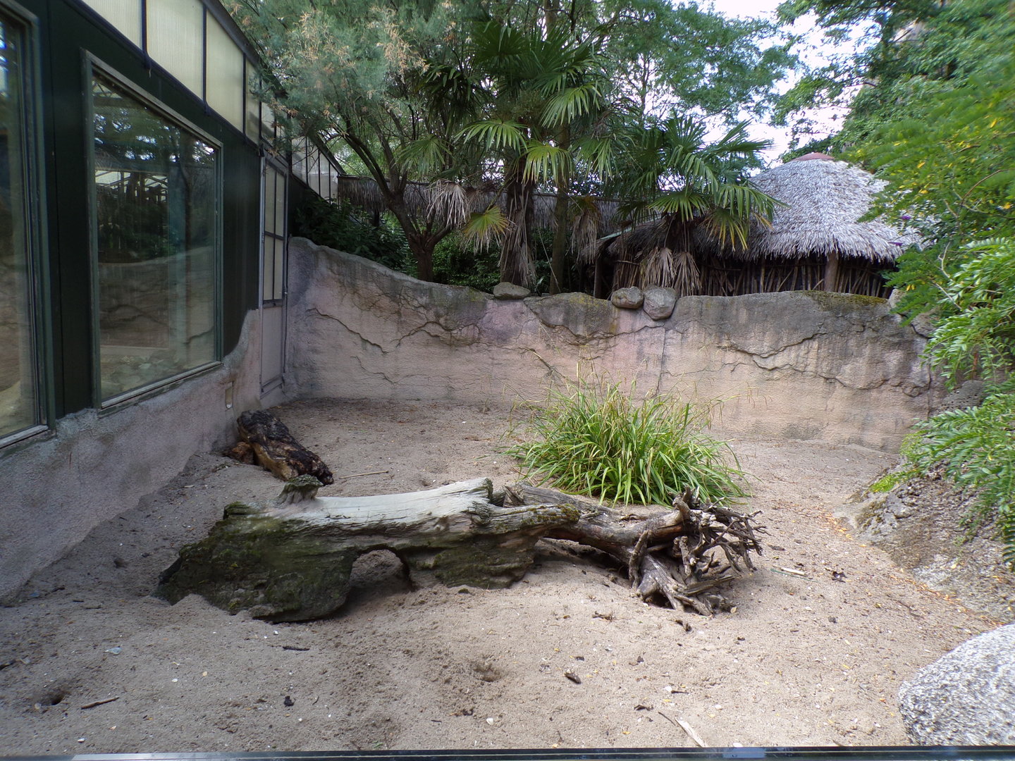 Africa- Meerkat enclosure 13.7.23