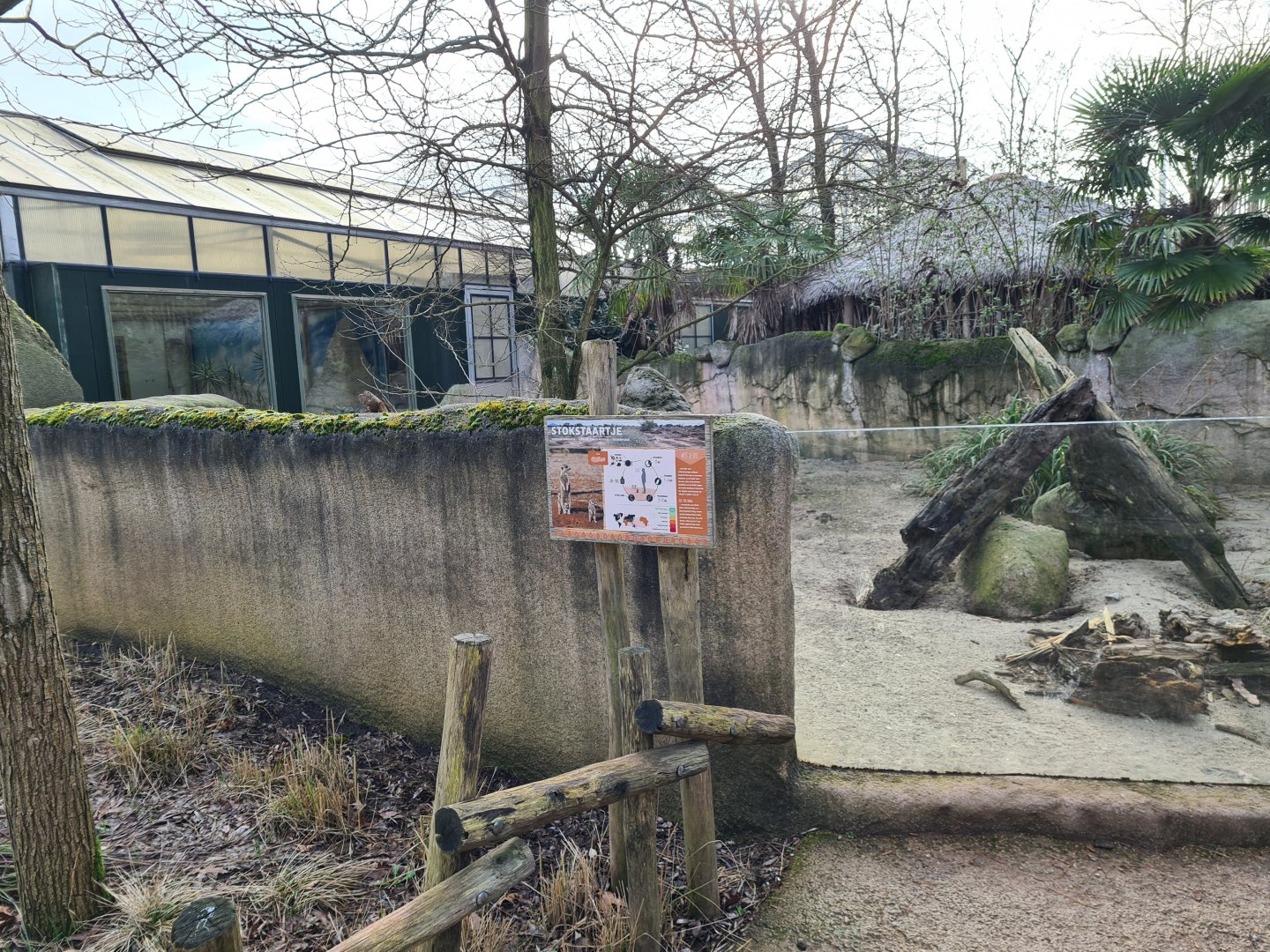 Africa - Meerkat enclosure