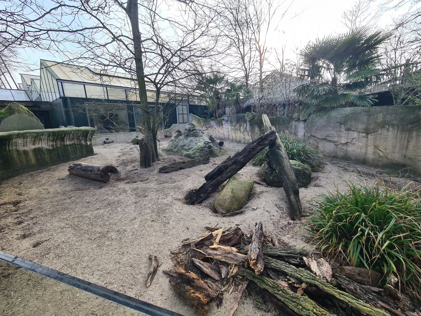 Africa - Meerkat enclosure
