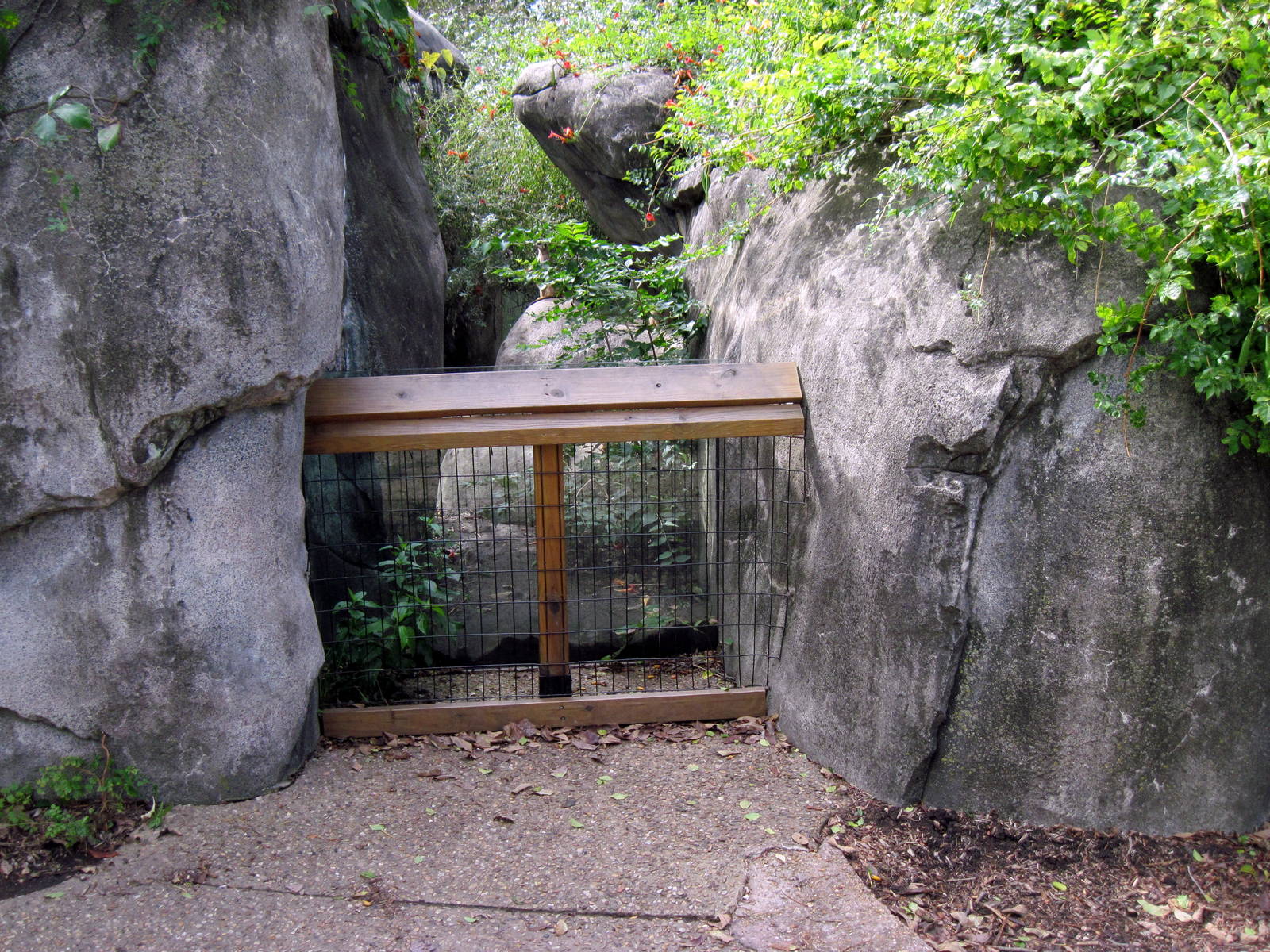Africa-Meerkat Exhibit