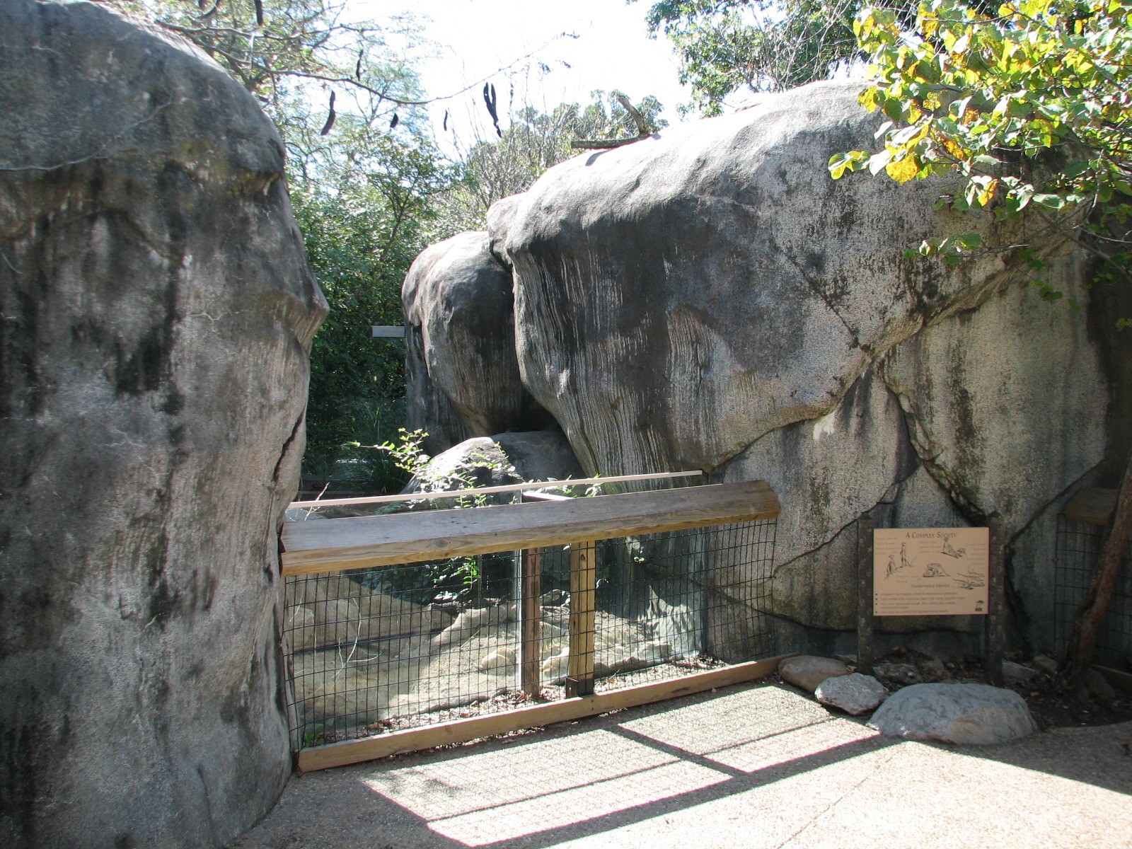 Africa - Meerkat Exhibit