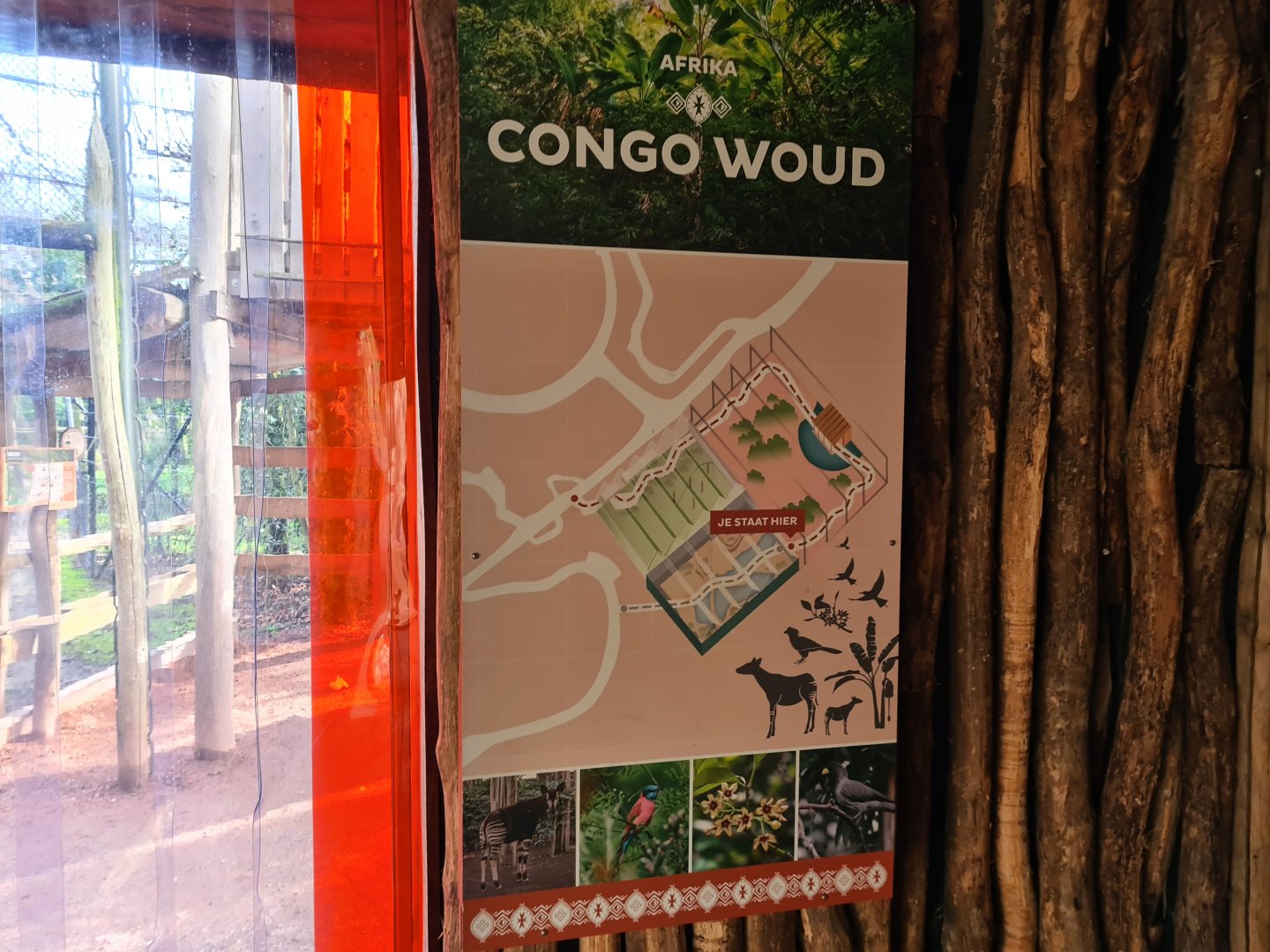 Africa - Minimap of Congo Forest area