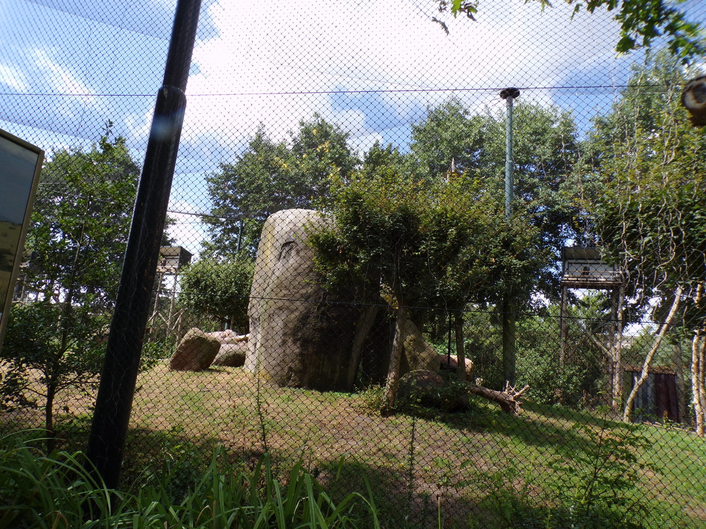 Africa- Mixed aviary 13.7.23