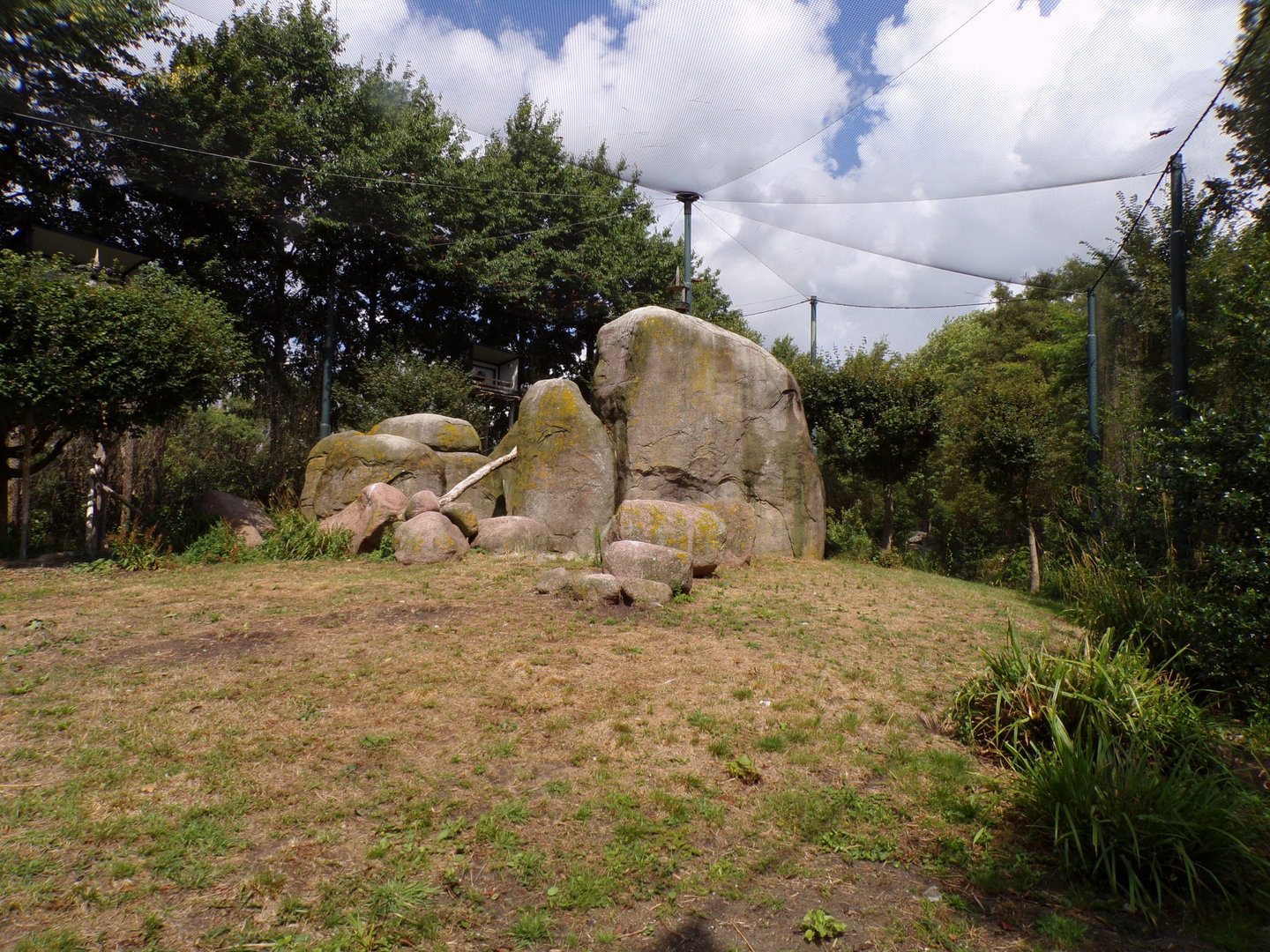 Africa- Mixed aviary 13.7.23