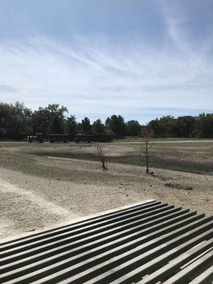“Africa”- mixed-species savanna exhibit
