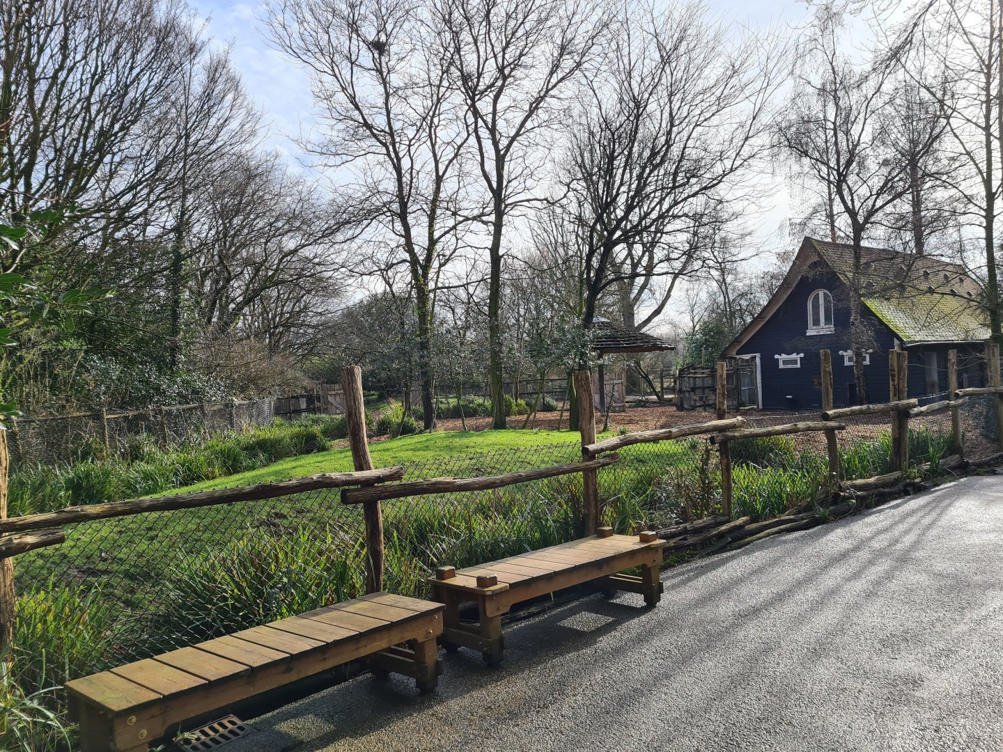 Africa - Mountain Bongo paddock