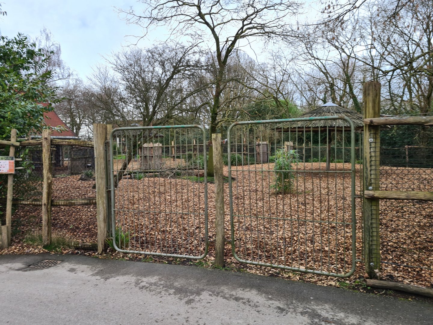 Africa - Mountain Bongo paddock