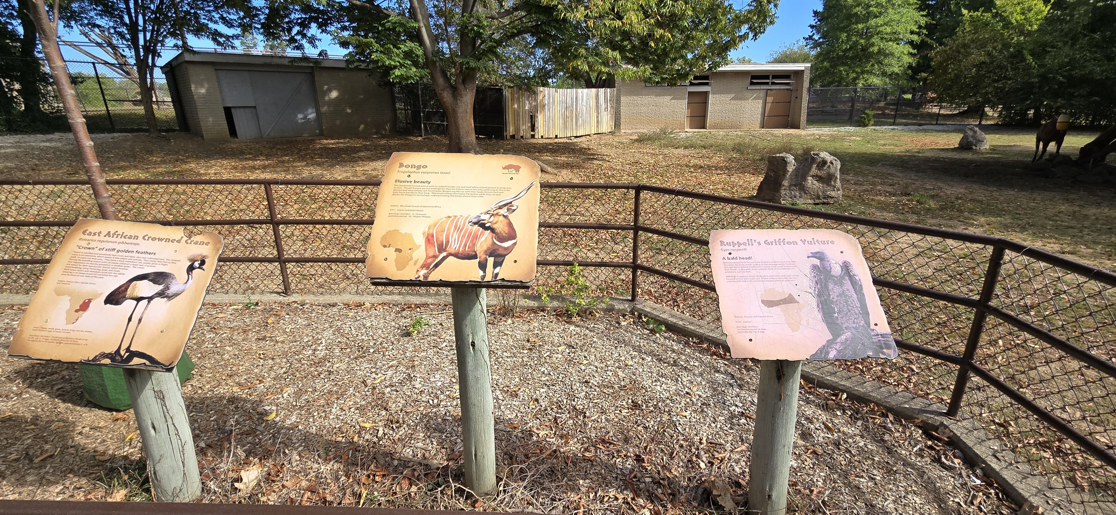 Africa - Multi-species habitat