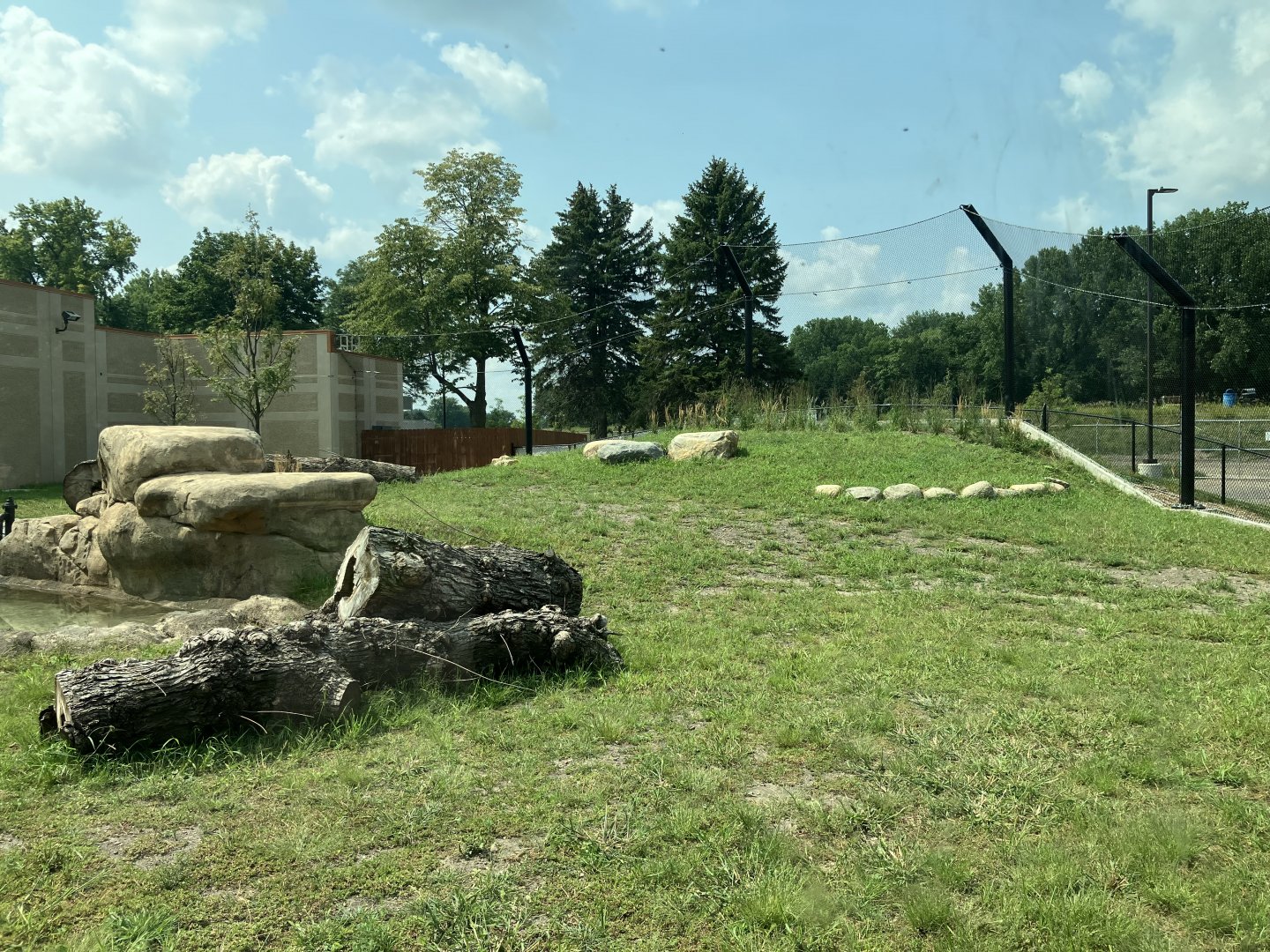 Africa - New African Lion Exhibit #1