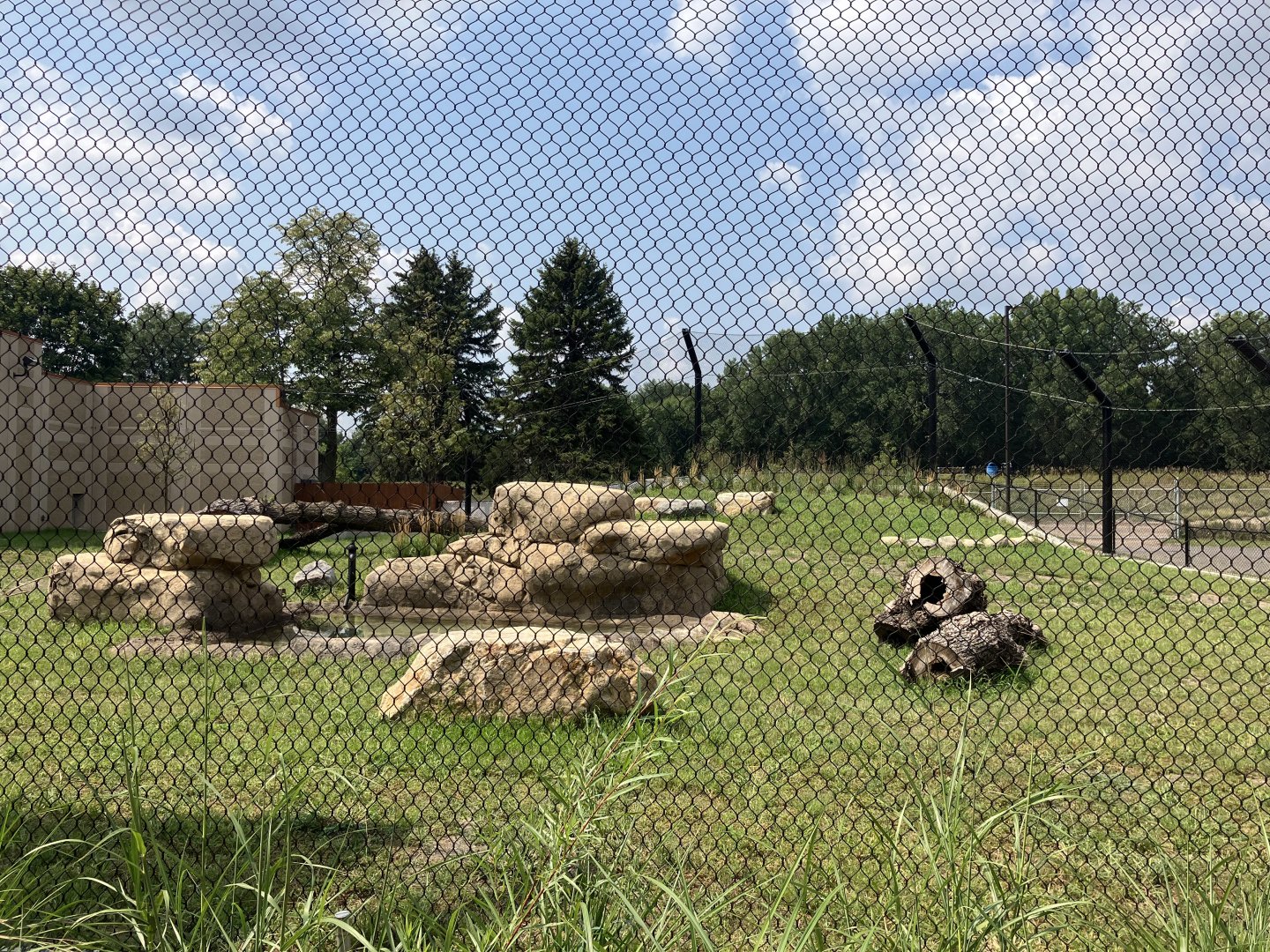 Africa - New African Lion Exhibit #1