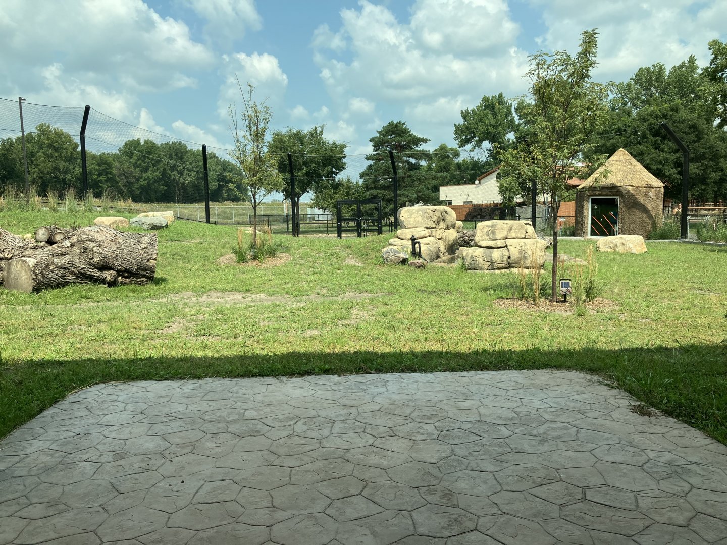 Africa - New African Lion Exhibit #1