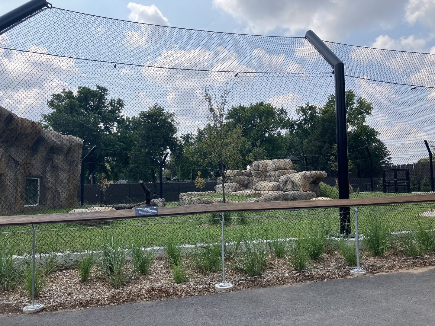 Africa - New African Lion Exhibit #2