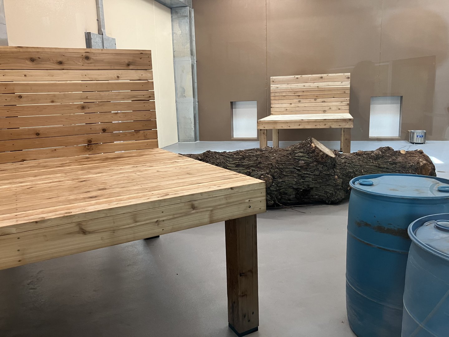 Africa - New Indoor African Lion Exhibit