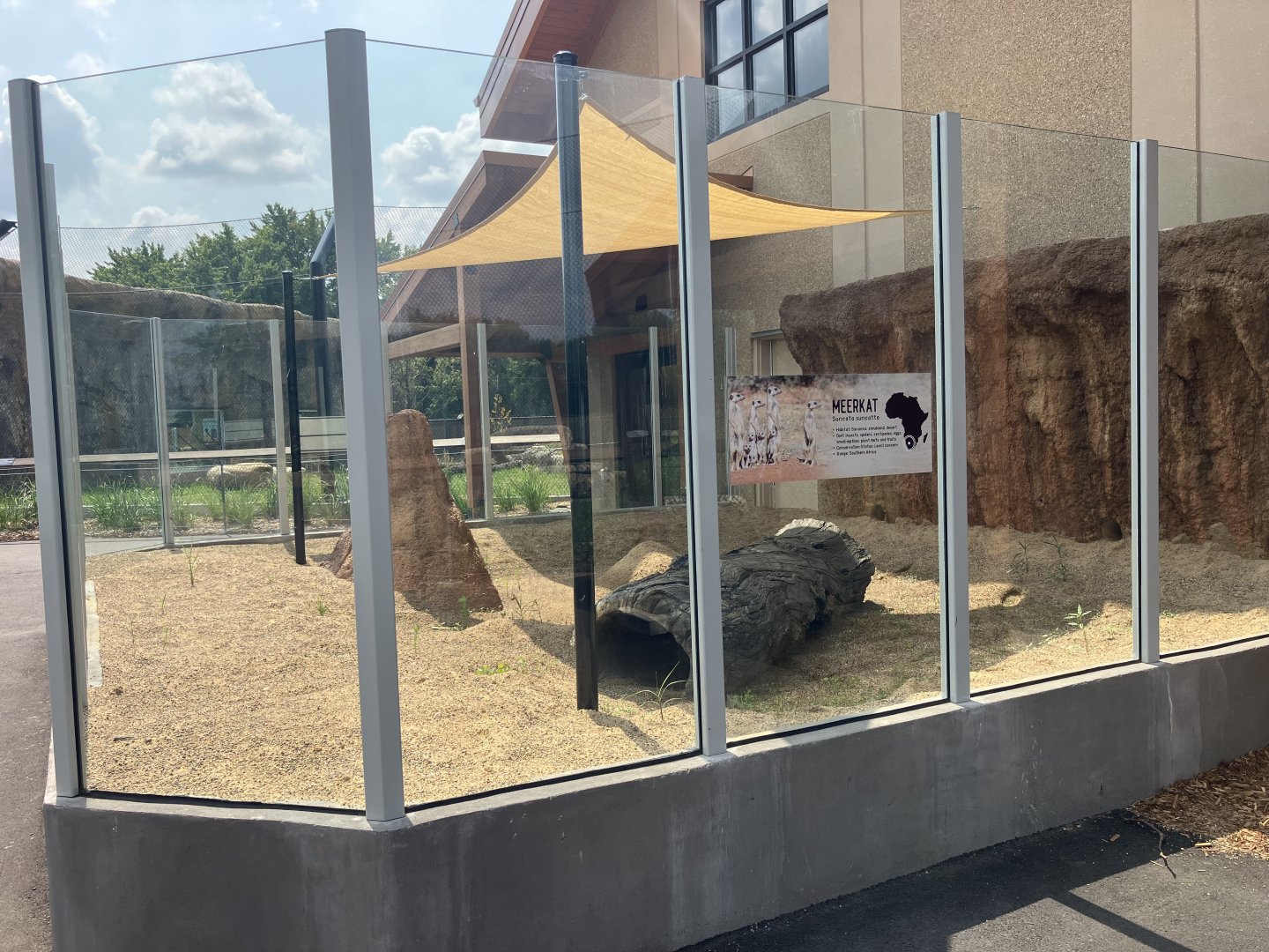 Africa - New Outdoor Meerkat Exhibit