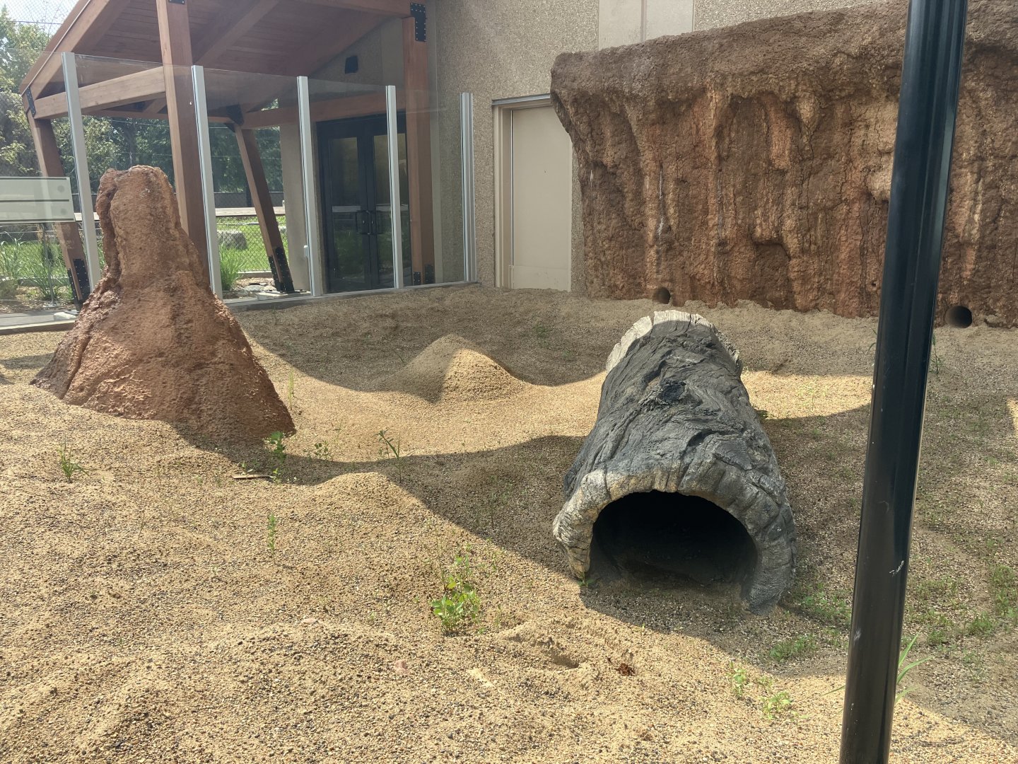 Africa - New Outdoor Meerkat Exhibit