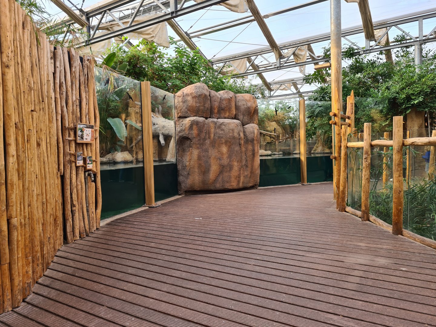 Africa - Nile crocodile viewing area in Crocodile river greenhouse