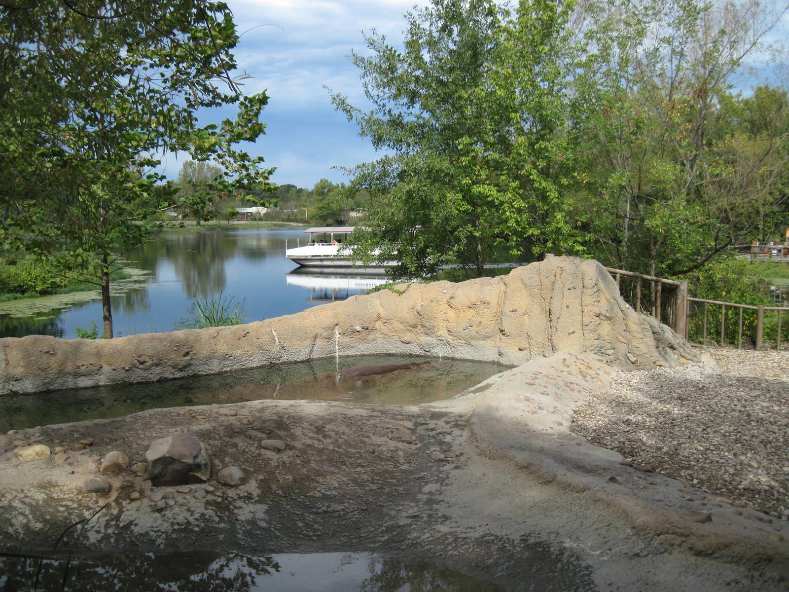 Africa-Nile Hippopotamus Exhibit