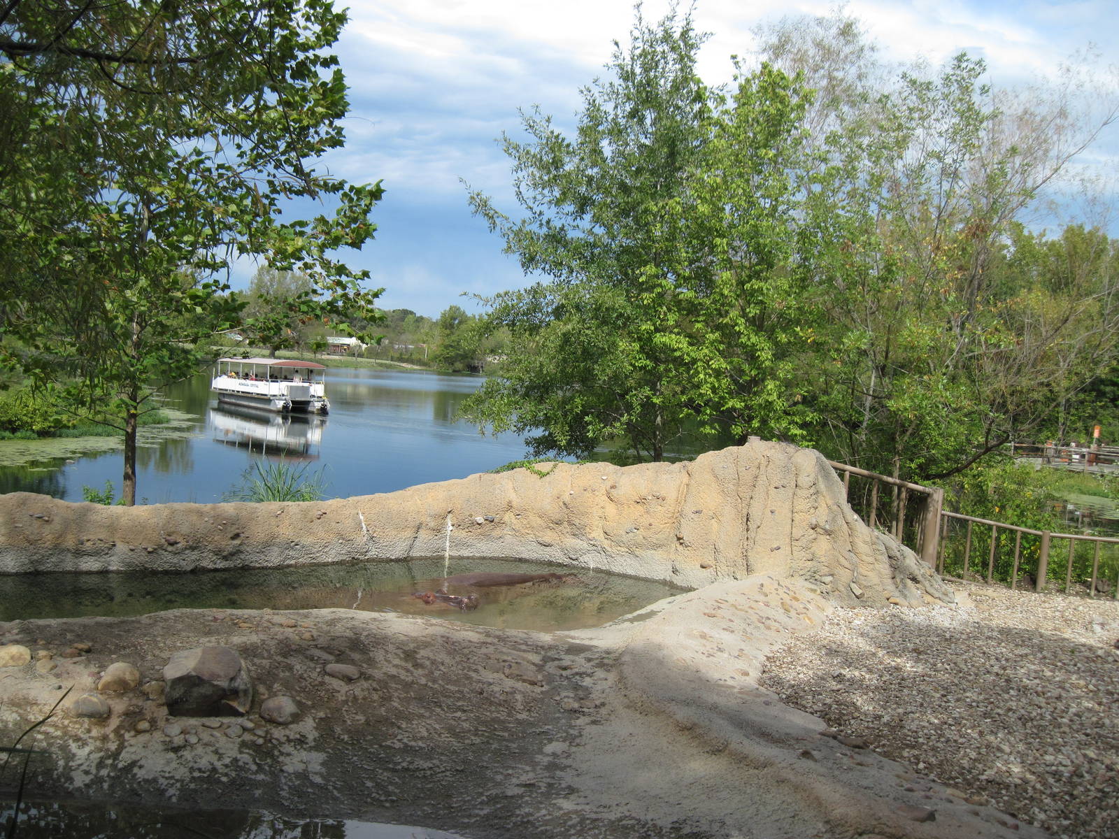 Africa-Nile Hippopotamus Exhibit